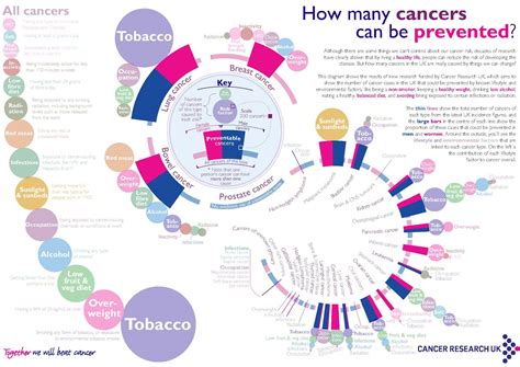 What Is The Cause Of All Cancers Cancerwalls