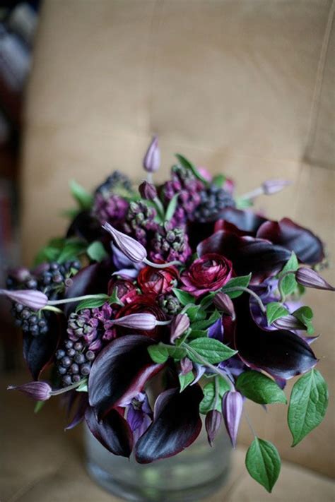 Check spelling or type a new query. Blossom and Bloom, dark purple calla lilies, clematis ...