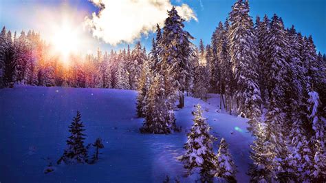 50+ nature wallpapers hd for free download. HD Kar ve Kış Manzara Fotoğrafları - HD Duvar Kağıdı ...
