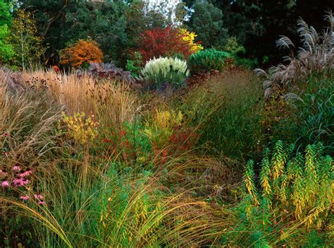 These are hardy grasses ideal for coastal and. Knoll Gardens and Nursery
