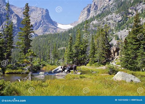 Rocky Mountain Landscape Stock Photo Image Of Horizontal 14310202