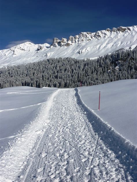 무료 이미지 경치 자연 감기 꼬리 화이트 산맥 날씨 눈이 내리는 스키 타기 시즌 스포츠 장비 겨울 스포츠