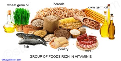 Learn how much you need. Vitamin E (Tocopherol): Sources, Deficiency and Functions ...