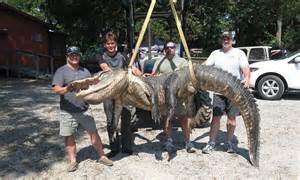 Make It Snappy Mississippi Hunt Crew Pose With Record Breaking 700lb