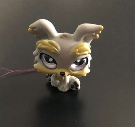 Littlest Pet Shop Lps 883 Grey Yorkie Dog Ebay