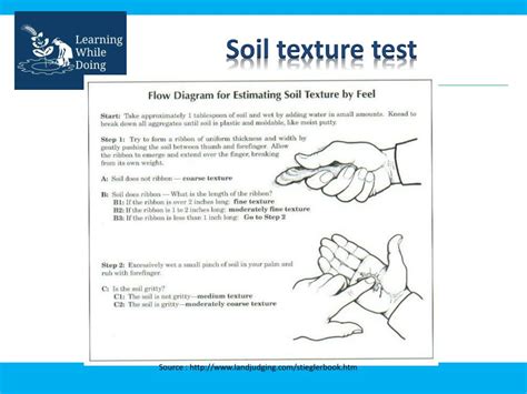 Understanding Soil Types And Soil Texture Test Your Own