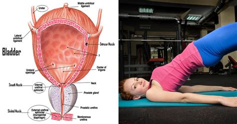 6 Simple Pelvic Strengthening Exercises To Help You Control Your