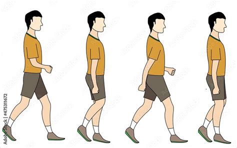 Walking Cycle Of A Man Animated Character For Walking Pose Vector