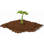 Clipart Planting Transparent Seedling Patch Resources Soil