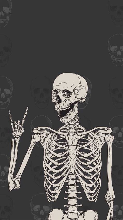 Free Download Hd Skeleton Wallpaper Whatspaper 736x1309 For Your