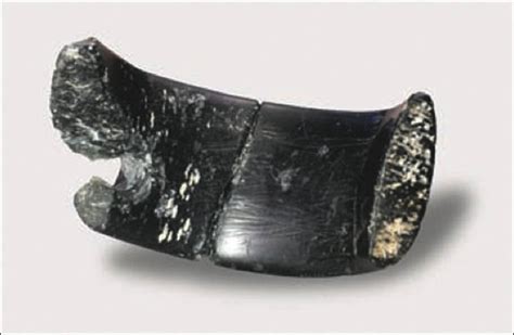 Stone Bracelet Is Oldest Ever Found In The World