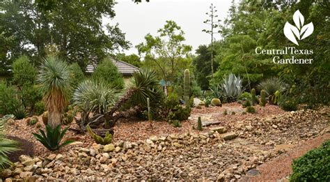 Garden Rehab Re Invent Restore Renew Central Texas Gardener