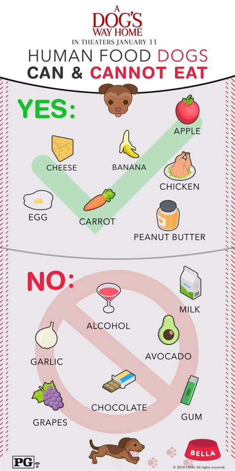 A list of human foods dogs can and can't eat. A helpful guide to human foods dogs can and cannot eat ...