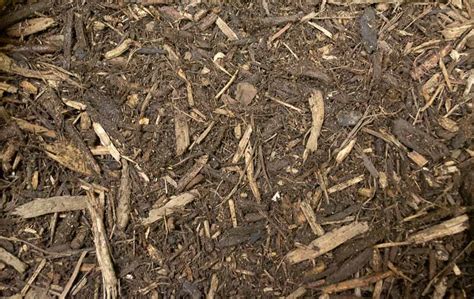Check spelling or type a new query. Mulch & Wood Chips in Bloomington Indiana | Bluestone Tree
