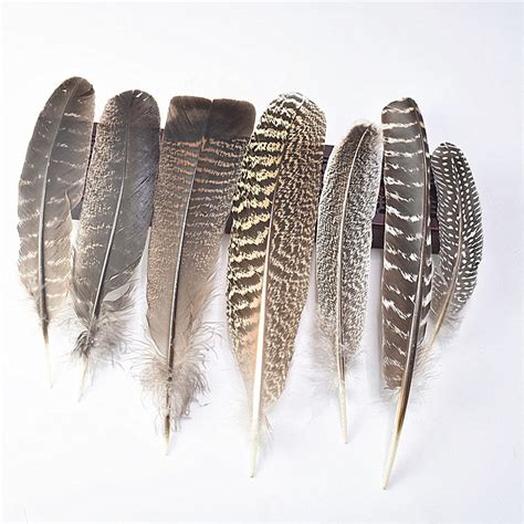 New Various Top Quality Real Natural Eagle feathers 10pcs ...