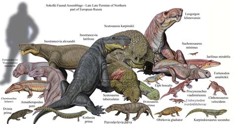The Earliest Avemetatarsalians Dr Neurosaurus With Images