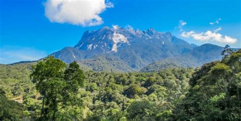 A Guide To The Heart Of Mount Kinabalu National Park