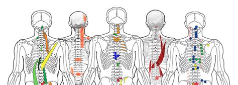 Share And Learn — Spinal Reflex Institute Intl