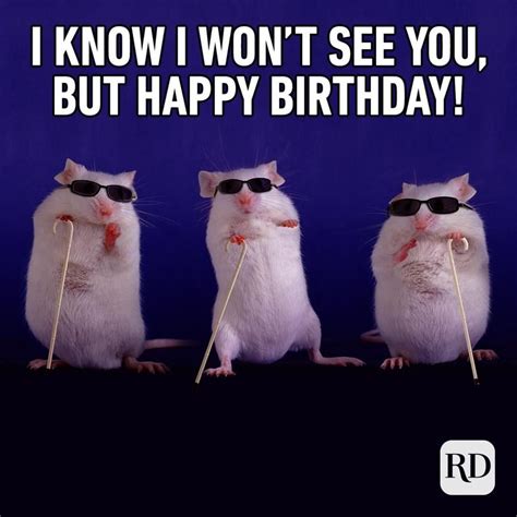 40 Of The Funniest Happy Birthday Memes Readers Digest