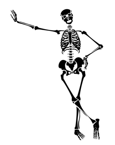 Download High Quality Skeleton Clipart Friendly Transparent Png Images