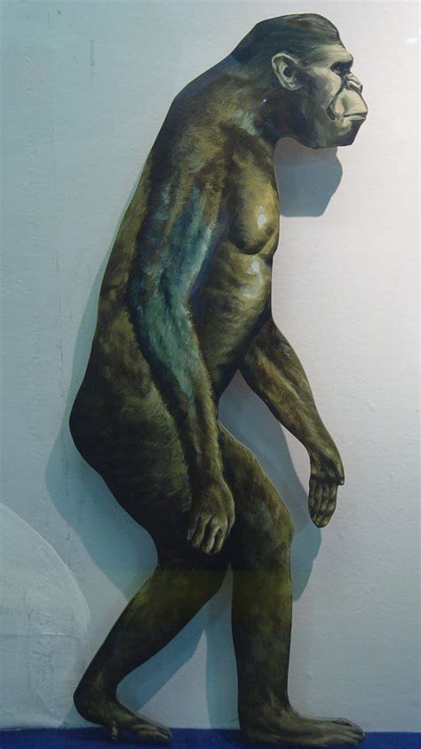 함소원은 땡잡았네 그렇게 결혼전에 옵션많이 걸어두었다는데, 내가보기엔 재테크로 진화 잡았던거같아. 인류의 진화 과정