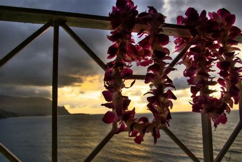 In Honor Of Lei Day Everything You Never Knew About Leis Huffpost
