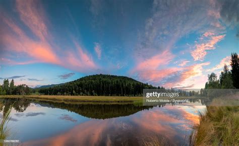 Natural Reserve Of Pian Di Gembro Aprica High Res Stock Photo Getty