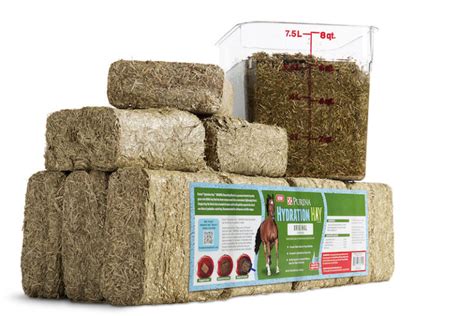 Purina® Hydration Hay™ Blocks Improved Hydration Levels During High