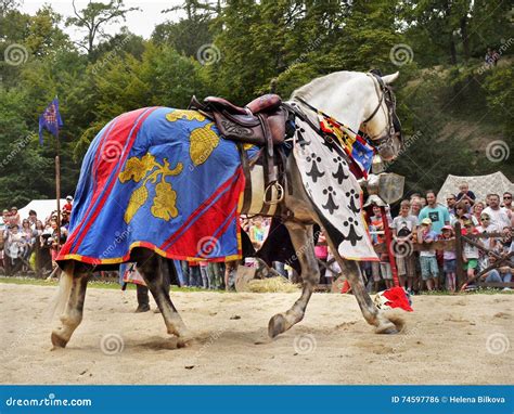Medieval Horse Costumes Editorial Photo Image Of Festival 74597786
