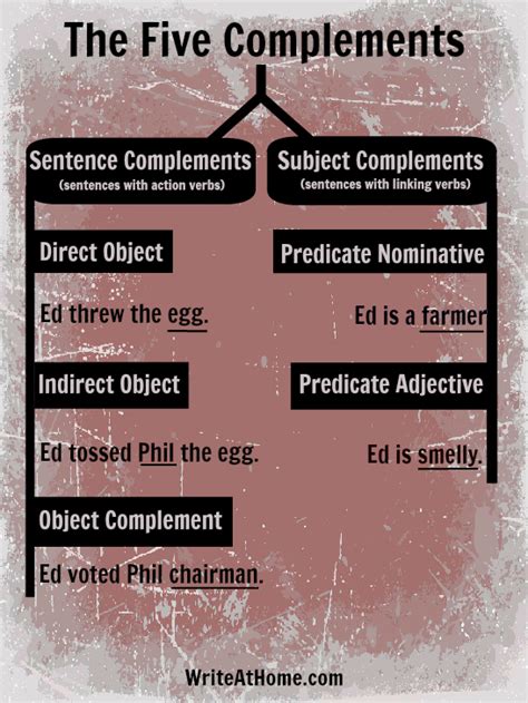 The 5 Sentence Complements Poster