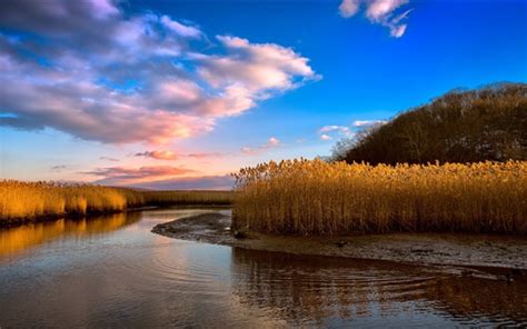 Wallpaper Reeds River Clouds Sunset 1920x1200 Hd Picture Image