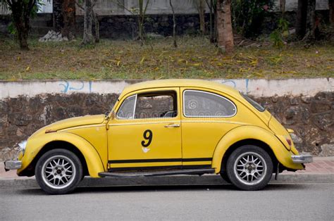 Beetle Volkswagen Classic Design Yellow Stock Photo Image Of