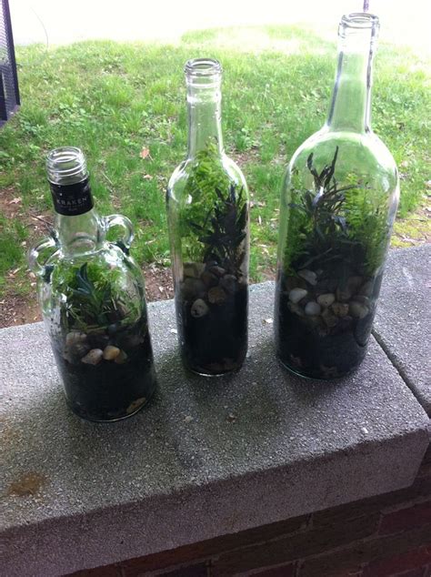 I made a makeshift gardening tool by taping a plastic fork to a. Wine bottle terrariums