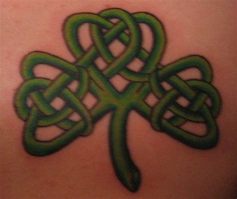 Shamrock In Celtic Knot Tattoo Tattooimagesbiz