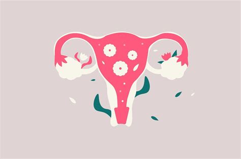 Female Fertility Illustration Female Reproductive System 2204080 Vector Art At Vecteezy