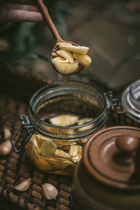 fermented garlic honey recipe through the wildwood
