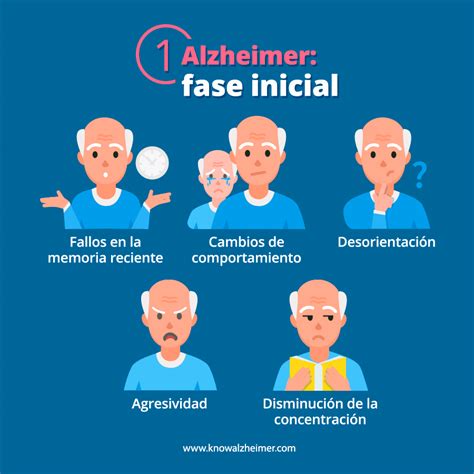 Etapas De La Enfermedad De Alzheimer