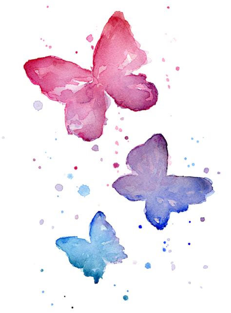 Watercolor Butterfly At Explore Collection Of