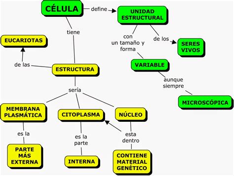 Mapa Conceptual De La Célula Mapas Conceptuales