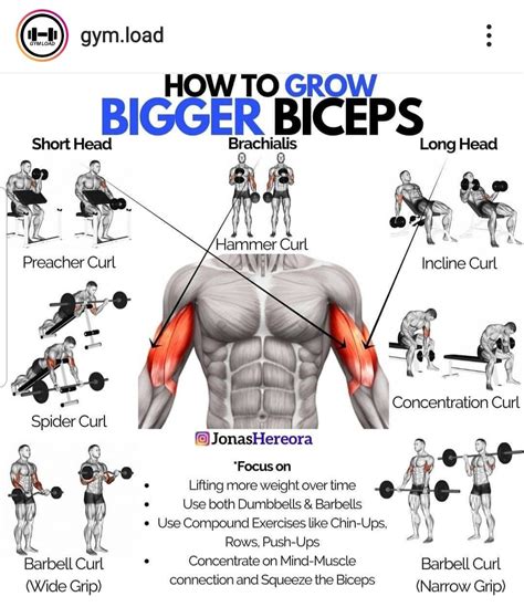How To Build Biceps Tips And Exercises For Bigger And Stronger Arms