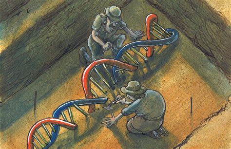 What Ancient Dna Says About Us New Humanist