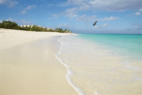 Eagle Beach In Aruba Is One Of The Most Breathtaking Beaches On The