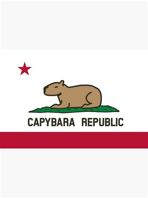 Capybara Flag Relaxed Land Version Poster For Sale By Spacebuck