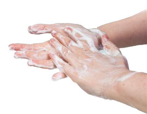 Wash Hands Download Transparent Png Image Png Arts