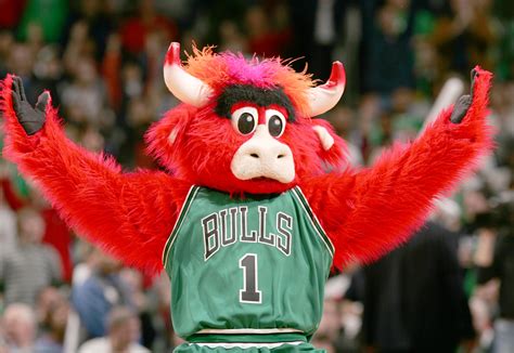 Check Out Benny The Bull Troll Live Bulls Broadcast