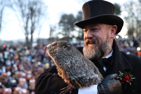 What Time Is Punxsutawney Phil On Tv 2024 - Dre Adelaide
