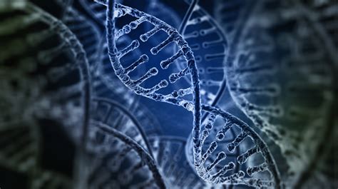 14 Strange Facts About Your Dna Bt
