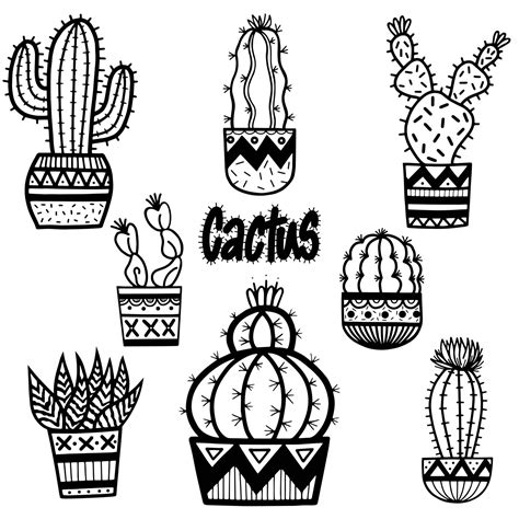 Potted Cactus Drawing At Getdrawings Free Download