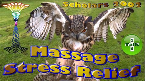 Stgec Scholars Stress Relief Massage 2002 Youtube