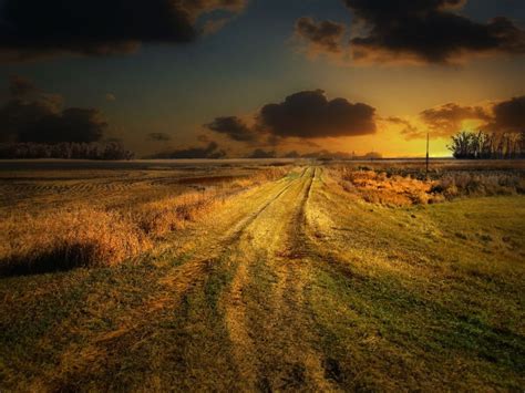 landscape, Field, Sunset, Road Wallpapers HD / Desktop and Mobile Backgrounds